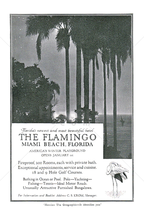 THE FLAMINGO MIAMI BEACH