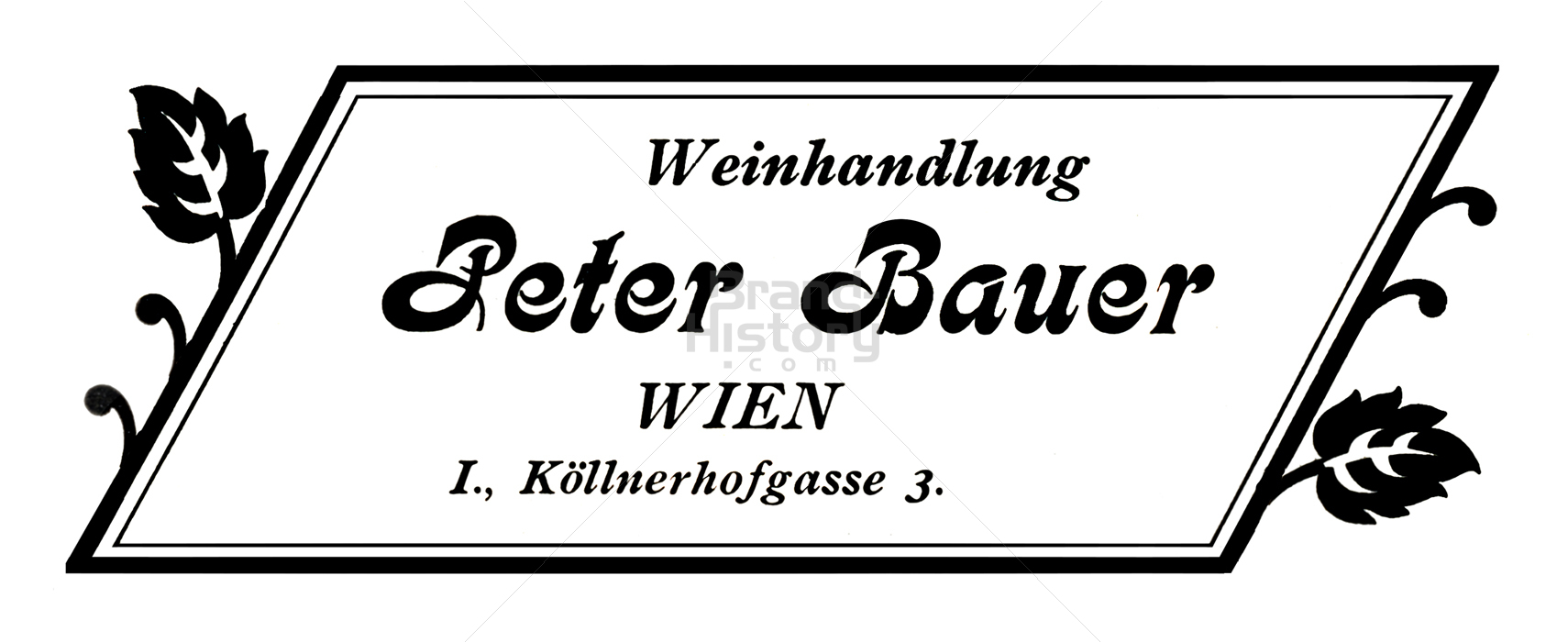 Peter Bauer, WIEN