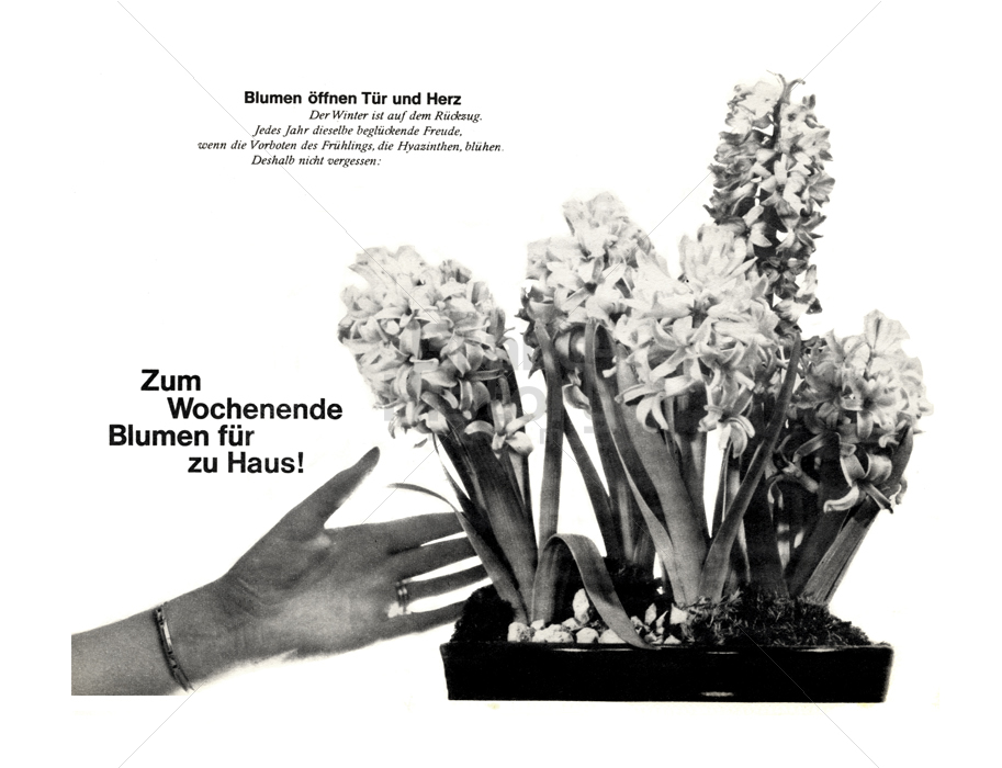 Deutsche Blumenwerbung