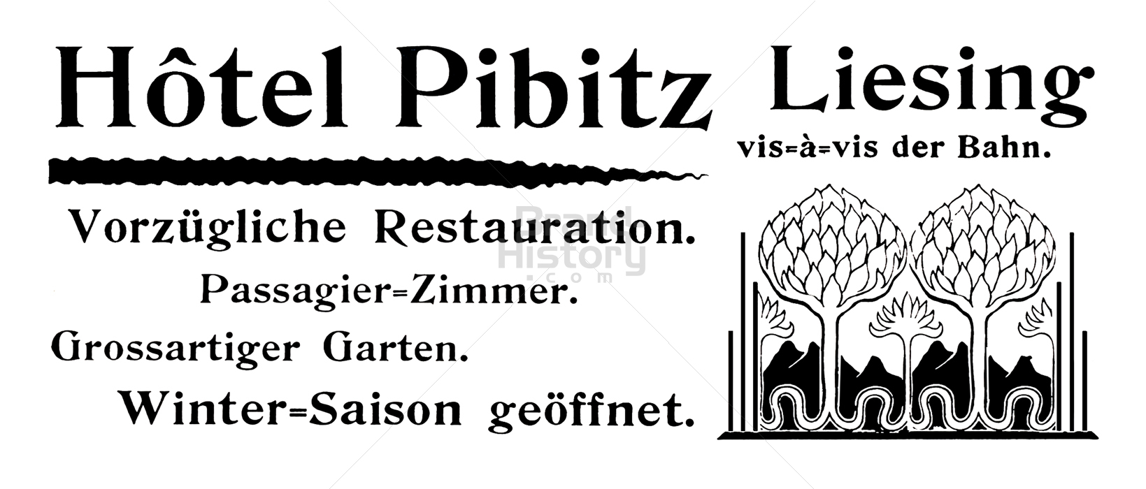 Hotel Pibitz, Liesing