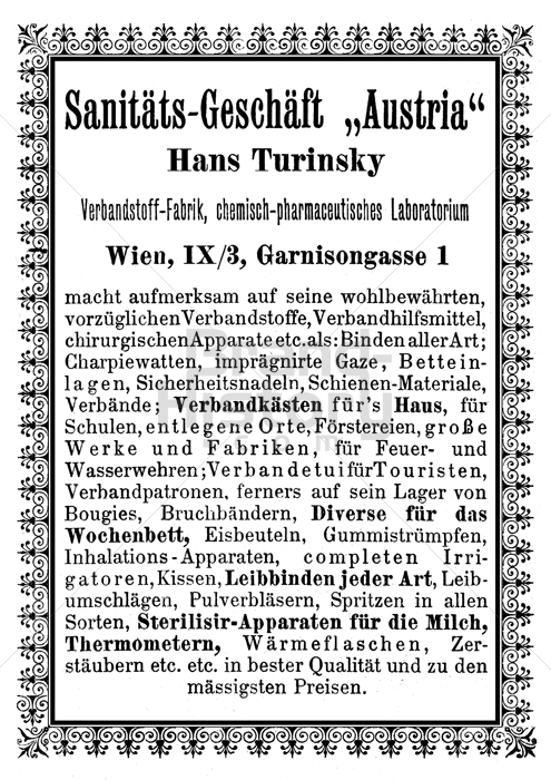 Hans Turinsky, Wien