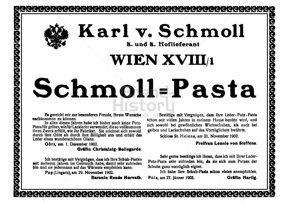 Karl von Schmoll, WIEN