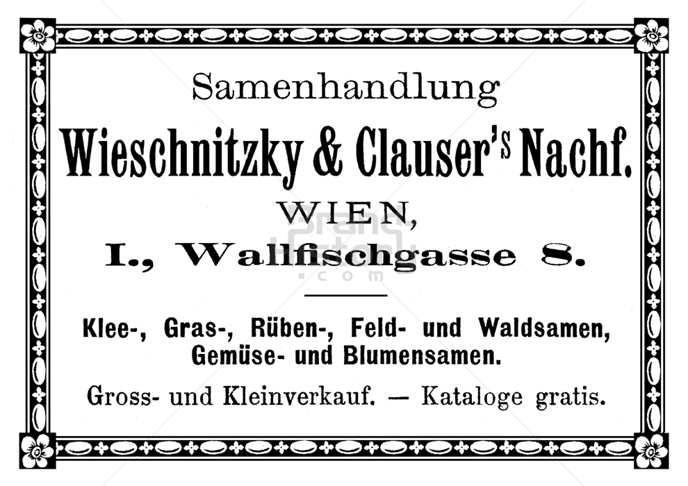 Wieschnitzky & Clauser's Nachfolger, WIEN