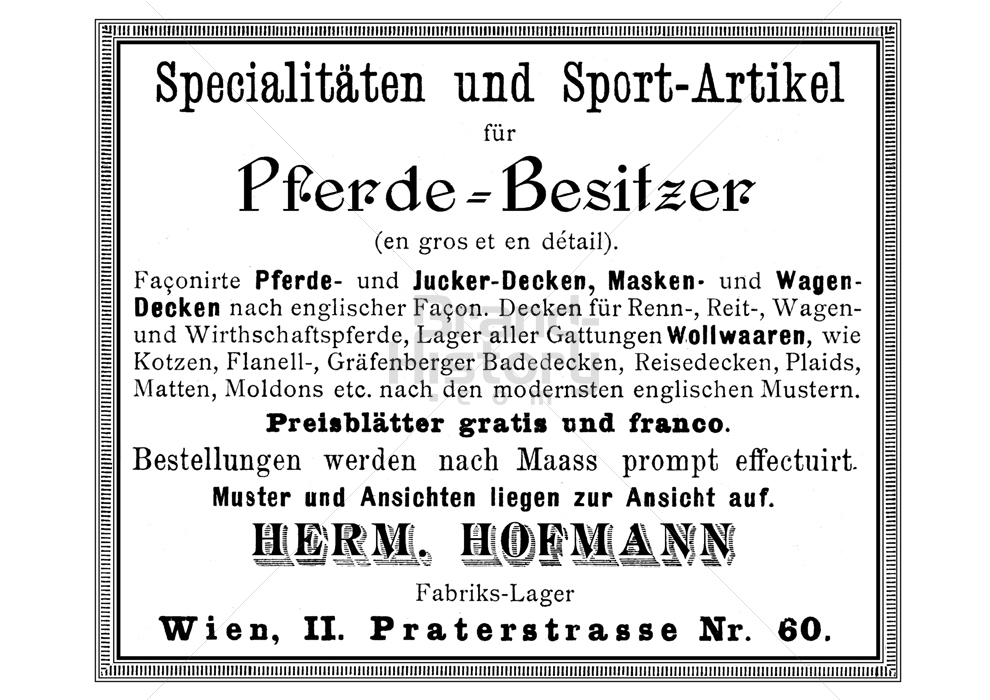 Hermann Hofmann, Wien