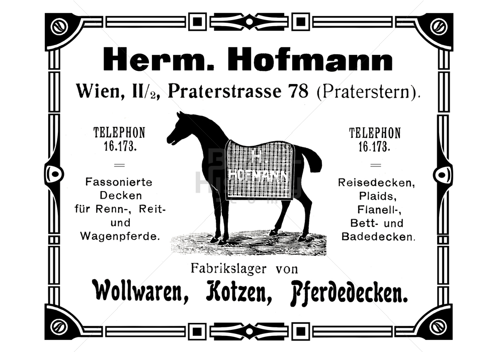 Hermann Hofmann, Wien