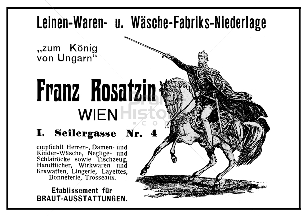 Franz Rosatzin, WIEN