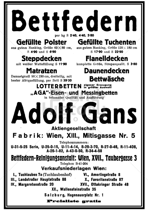 Adolf Gans, Wien